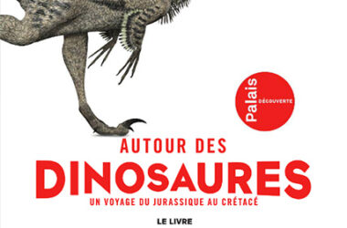 autour_dinosaures